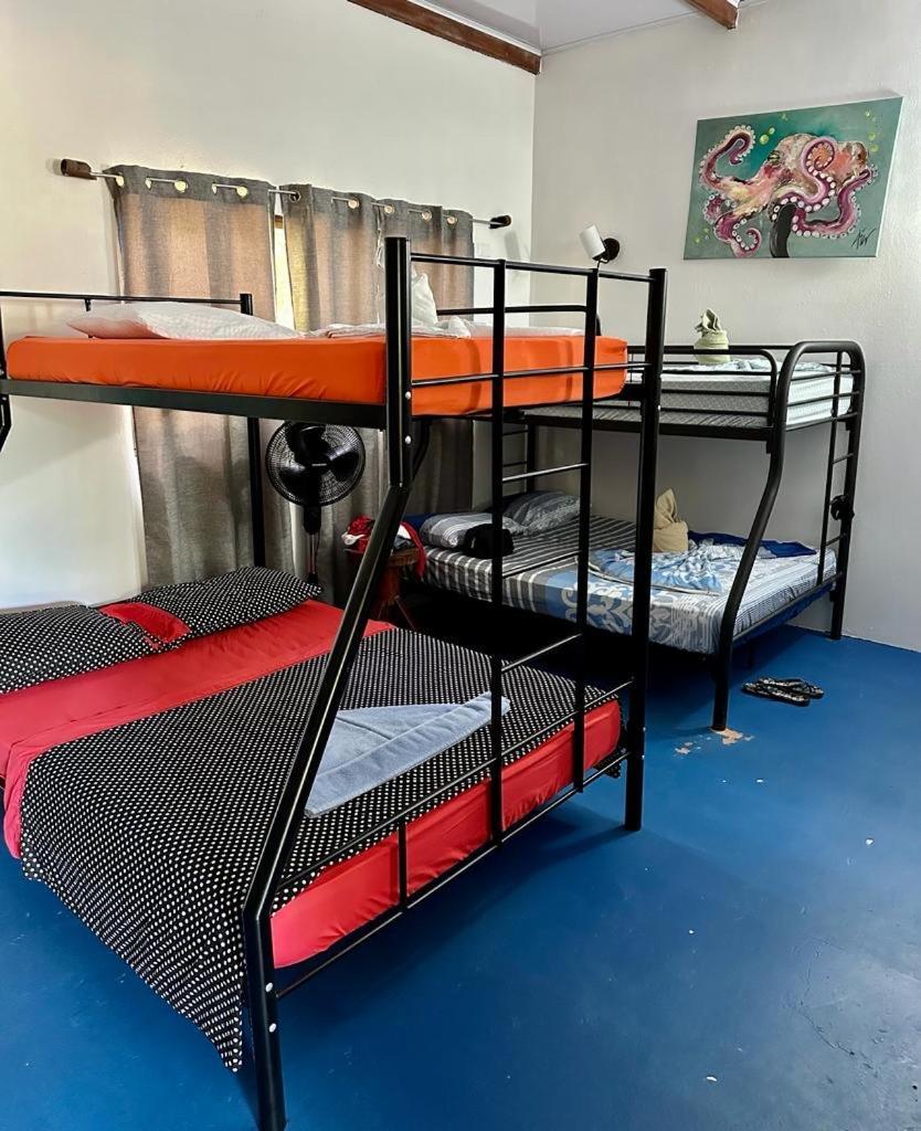 Luminosa Uvita Hostel Экстерьер фото